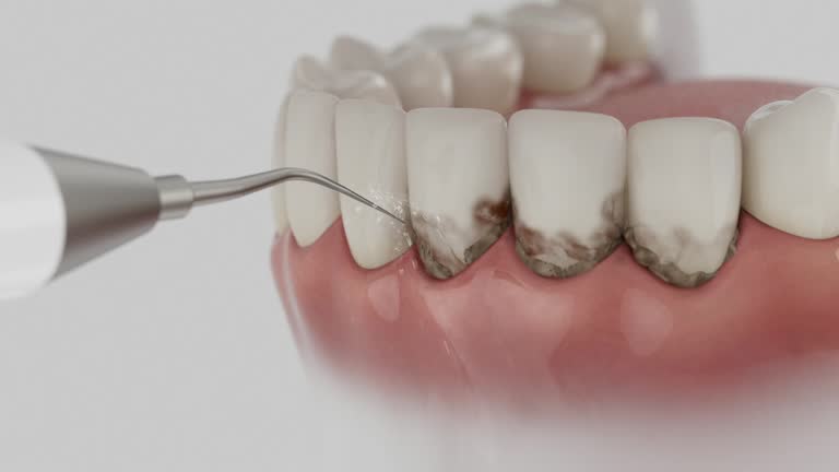 Reliable Dental contractor in Eureka, IL by Dentist Open Now